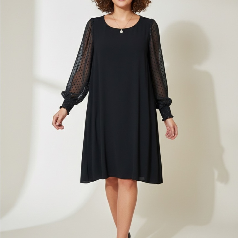 MSk Elegant Black Sheer Sleeve Dress